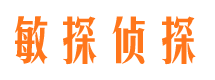 嘉禾市调查公司